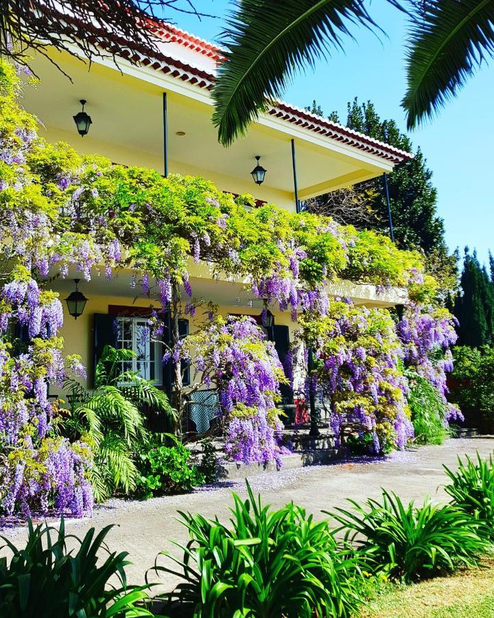 Hotel Quinta Do Cabouco Ribeira Brava Exterior foto